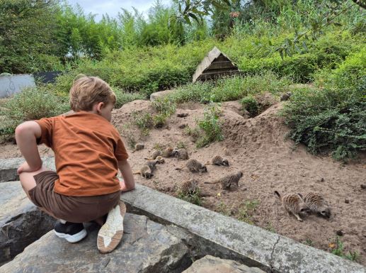 Noud gaat naar “Afrika”