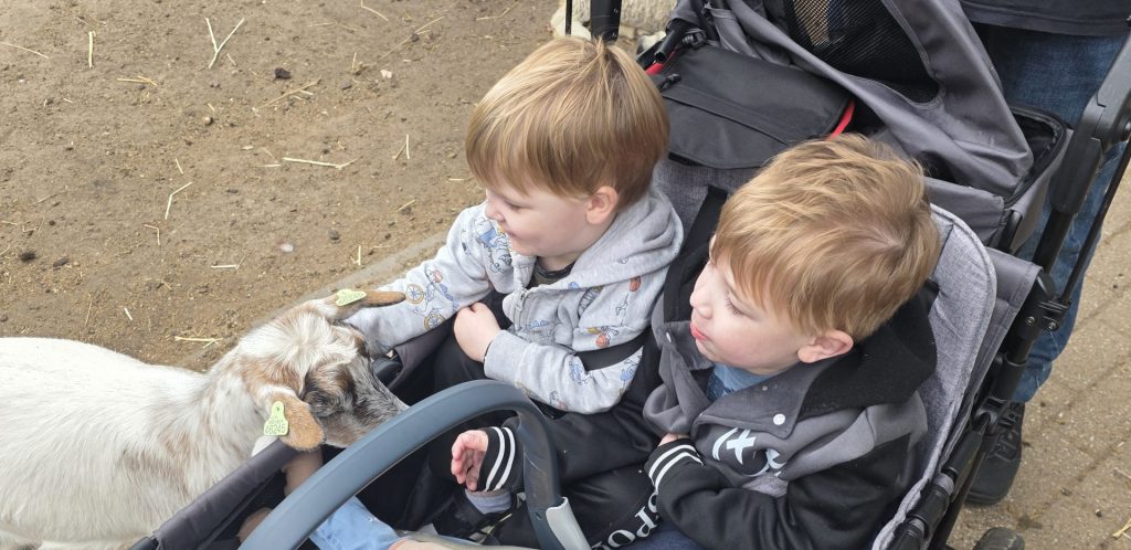 Jaxson gaat naar de Kempervennen